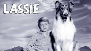 Lassie Epizóda 18