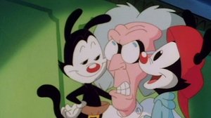 Animaniacs Epizóda 1
