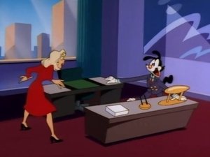 Animaniacs Epizóda 30