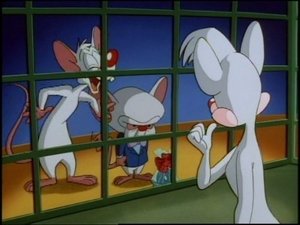 Animaniacs Epizóda 114