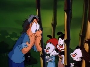 Animaniacs Epizóda 48