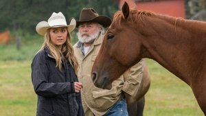 Heartland Epizóda 10