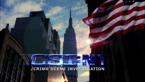 C.S.I.: Kriminálka New York Epizóda 3
