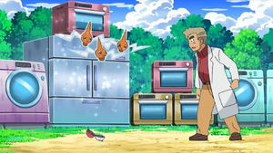 Pokémon Epizóda 31