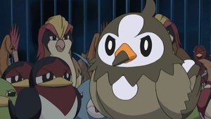 Pokémon Epizóda 13