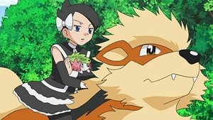 Pokémon Epizóda 11