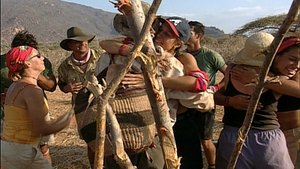 Survivor Epizóda 8