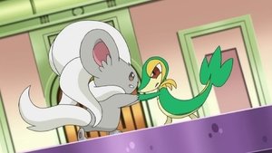 Pokémon Epizóda 1