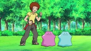 Pokémon Epizóda 16
