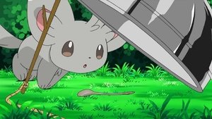 Pokémon Epizóda 13