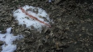 NCIS: Námorný vyšetrovací úrad Epizóda 14