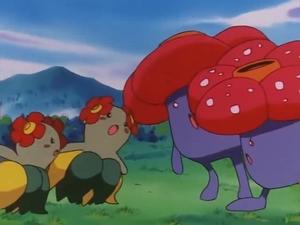 Pokémon Epizóda 30