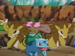 Pokémon Epizóda 16