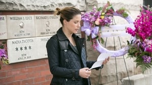 Chicago P.D. Epizóda 21