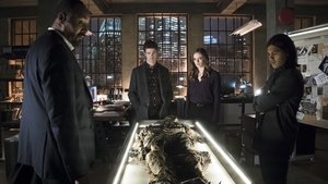 The Flash Epizóda 19