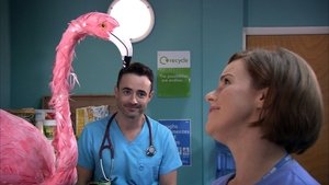 Holby City Epizóda 27