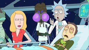 Rick a Morty Interdimensional Cable 2: Tempting Fate