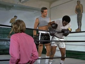 The Six Million Dollar Man Epizóda 17