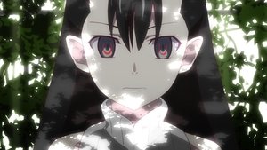 Monogatari Epizóda 11