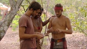 Survivor Epizóda 8