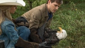 Heartland Epizóda 6
