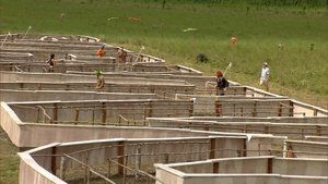Survivor Epizóda 13