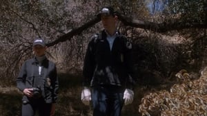 NCIS: Námorný vyšetrovací úrad Epizóda 6