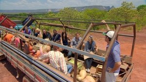 Survivor Epizóda 1