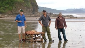 Survivor Epizóda 1