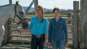 Heartland Epizóda 8