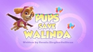 Labková patrola Labky zachraňujú Walindu