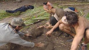 Survivor Epizóda 8