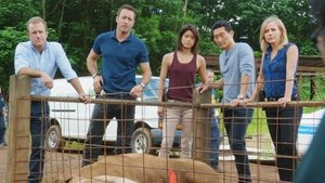 Hawaii 5.0 Epizóda 9