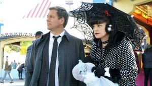 NCIS: Námorný vyšetrovací úrad Epizóda 12