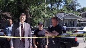 Homicide Hunter: Lt Joe Kenda Epizóda 13