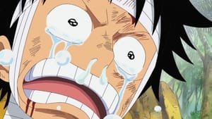 One Piece Epizóda 505