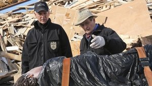 NCIS: Námorný vyšetrovací úrad Epizóda 13