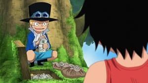 One Piece Epizóda 494