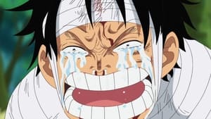 One Piece Epizóda 491