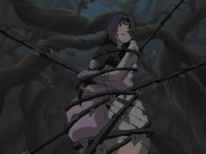 Naruto Epizóda 205
