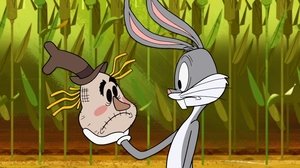 New Looney Tunes Epizóda 24