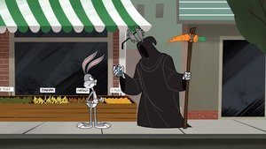 New Looney Tunes Epizóda 41