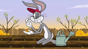 New Looney Tunes Epizóda 23
