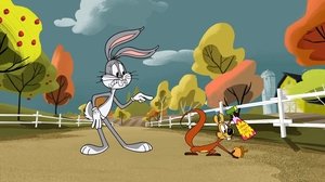 New Looney Tunes Epizóda 29