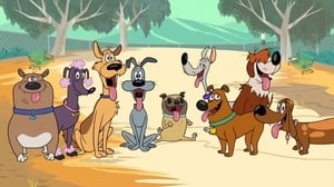 New Looney Tunes Epizóda 19