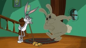 New Looney Tunes Epizóda 38