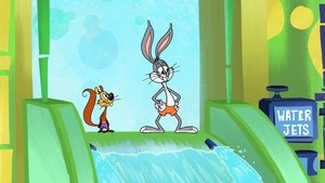 New Looney Tunes Epizóda 43