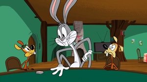 New Looney Tunes Epizóda 17