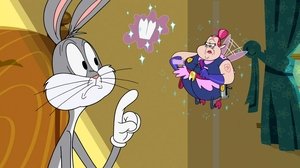 New Looney Tunes Epizóda 22