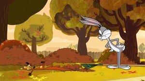 New Looney Tunes Epizóda 6